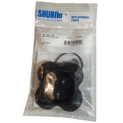 Check Valve Replacement Kit for 5.3 Gallon Shurflo Pump